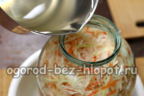 양배추에 소금물을 붓다