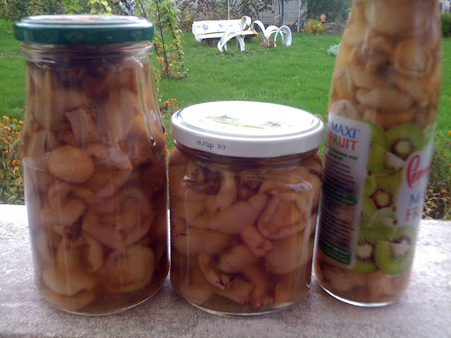 튀긴 양념 버터 버섯