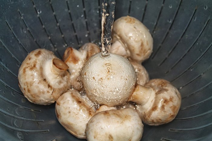 버섯 세척