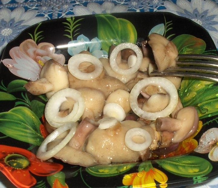 소금에 절인 버터 버섯