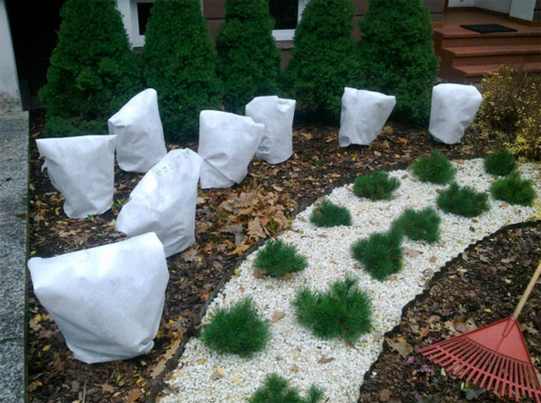 가을에 정원 가꾸기