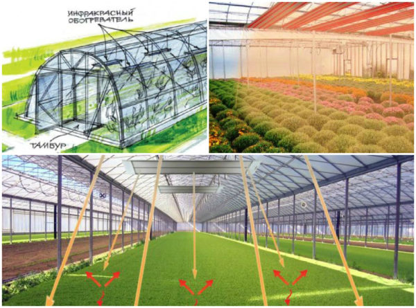 겨울철 온실 조명