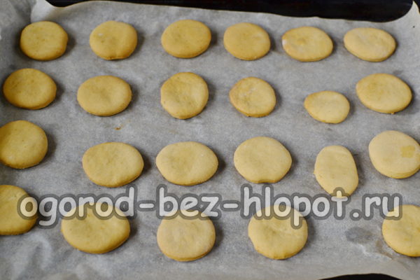 황금빛 갈색이 될 때까지 굽다