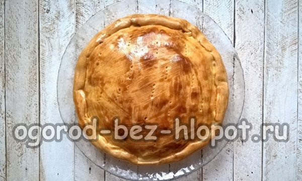 기성품 양배추 파이