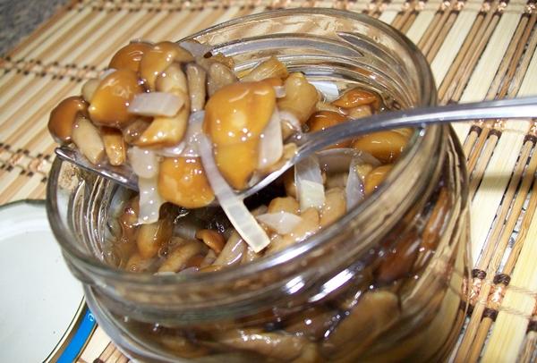 오이 소금물에 담긴 꿀버섯