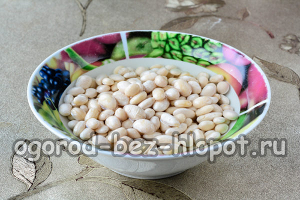 콩을 담가두고 물을 빼세요