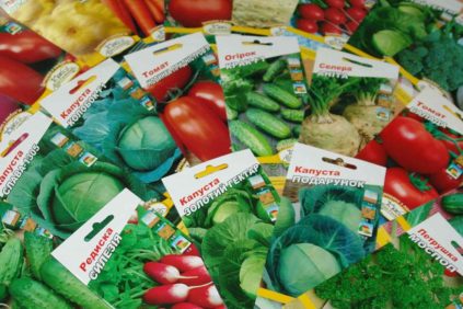 온라인 매장의 씨앗