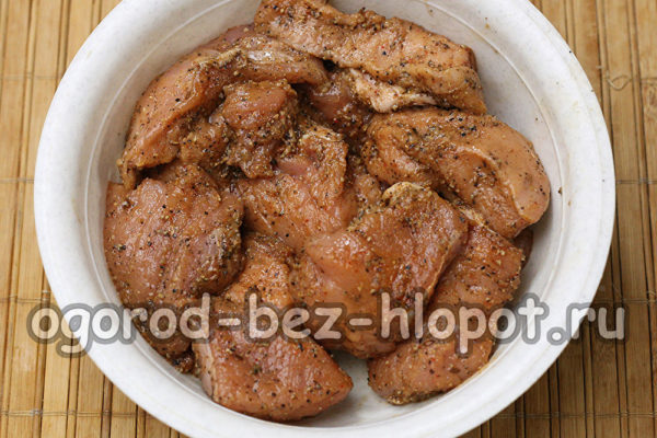 고기를 재워두다