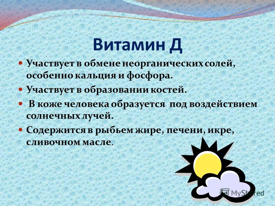 비타민 D의 작용