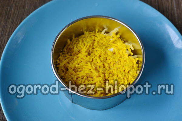 달걀 노른자 층