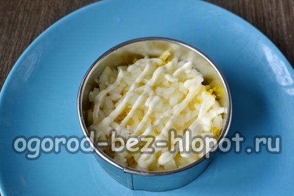 절인 양파 한 층