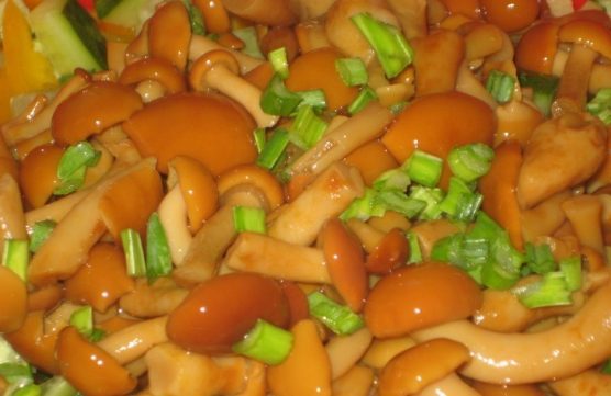 소금에 절인 꿀버섯