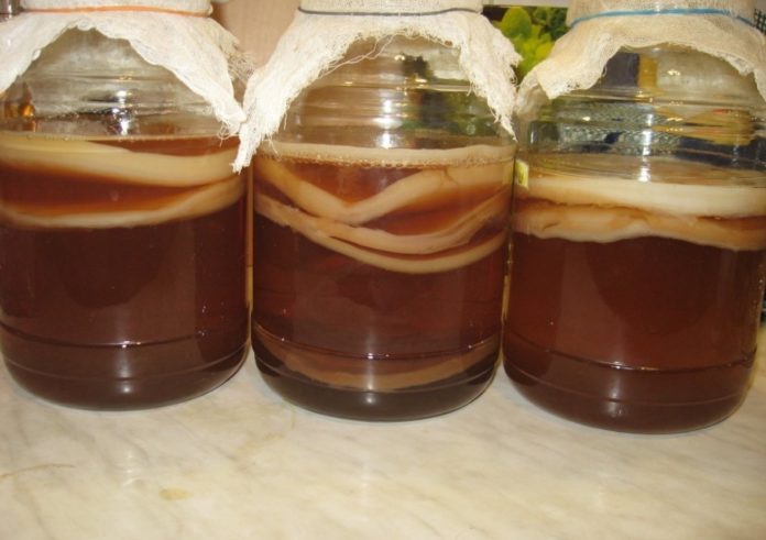 사과 식초를 넣은 콤부차