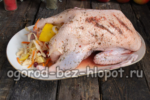 오리에 양배추와 모과를 채워 넣으세요