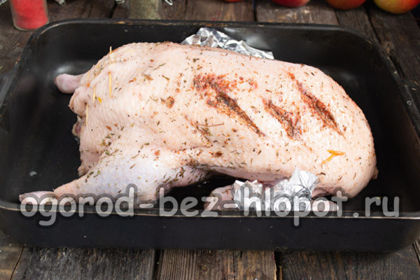 오리를 베이킹 시트에 올려 놓으세요