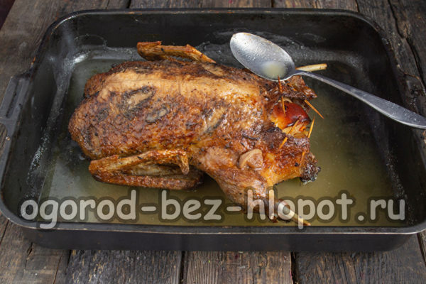 오리를 구워 먹다