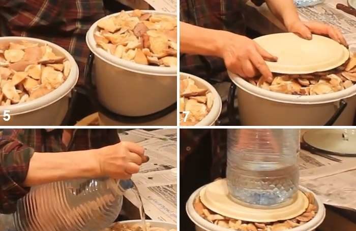 루술라 버섯 절임