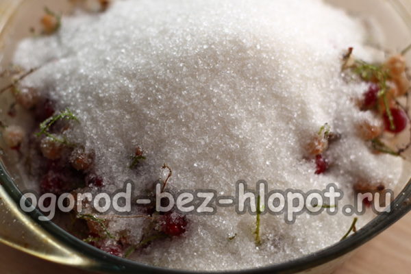 건포도에 설탕을 뿌린다