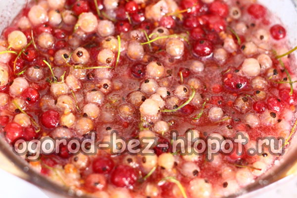 주스가 나올 때까지 그대로 두세요