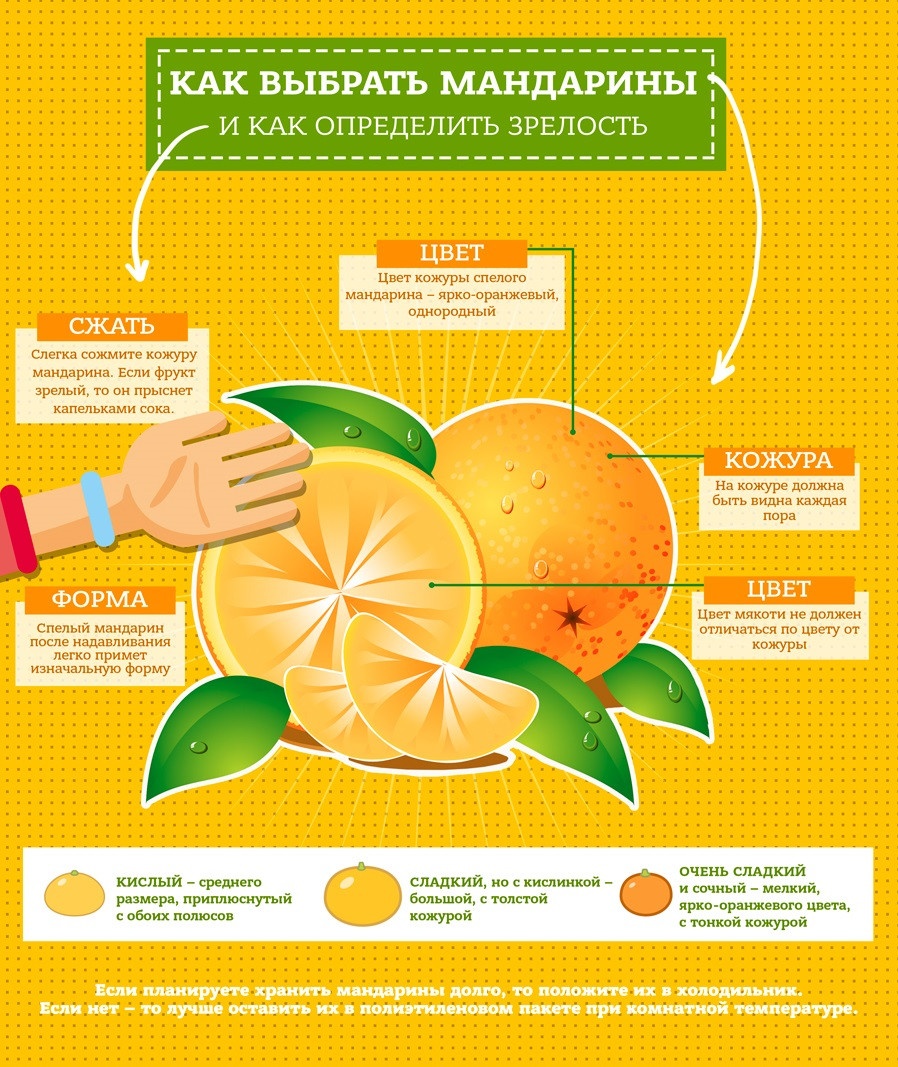 감귤류 과일 선택 규칙