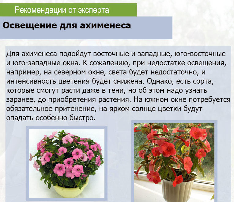 아키메네스를 위한 조명