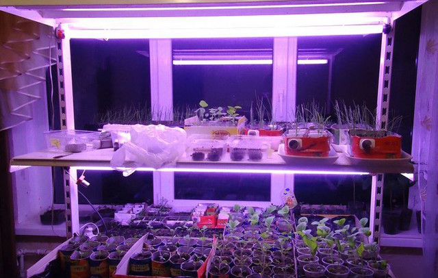 형광등 재배 램프