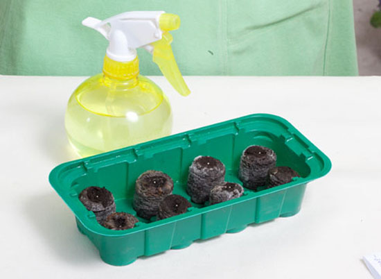 씨앗 심기 재료