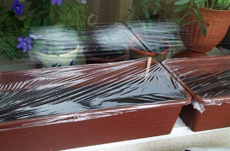 온실 환경 조성