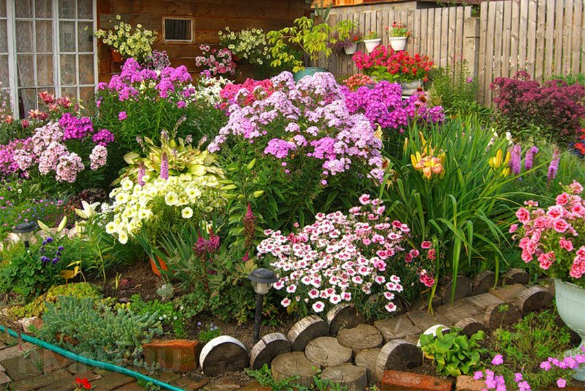 끊임없이 꽃이 피는 화단