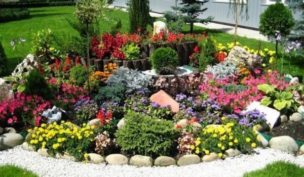 늦가을까지 꽃밭