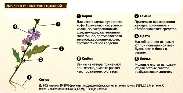 제품 응용 프로그램