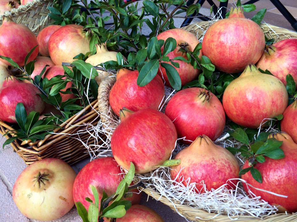 몰라르 데 엘체