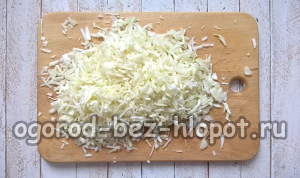 양배추를 다지다