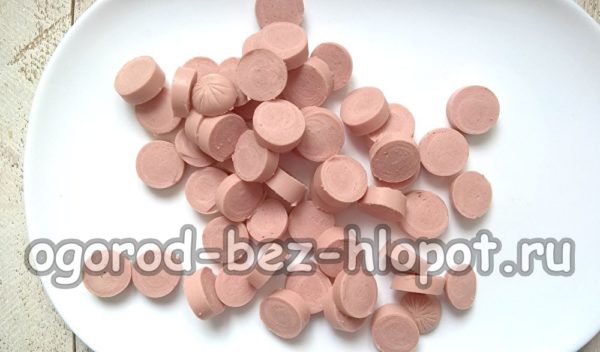 소시지를 자르다