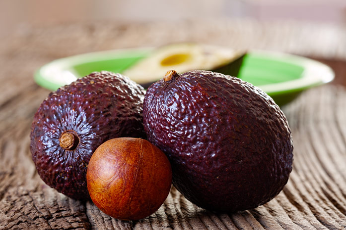 사용 금기 사항