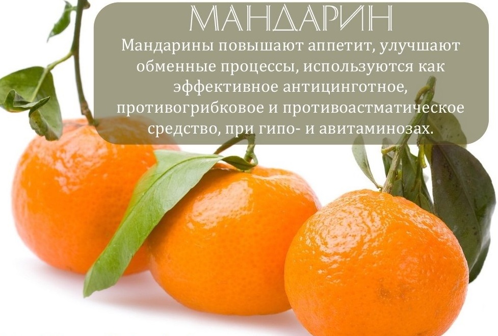 신체에 유익한 특성