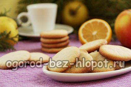 피클 브라인 쿠키