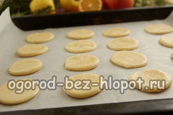 쿠키를 베이킹 시트에 놓으세요