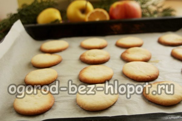 오븐에서 쿠키를 굽다