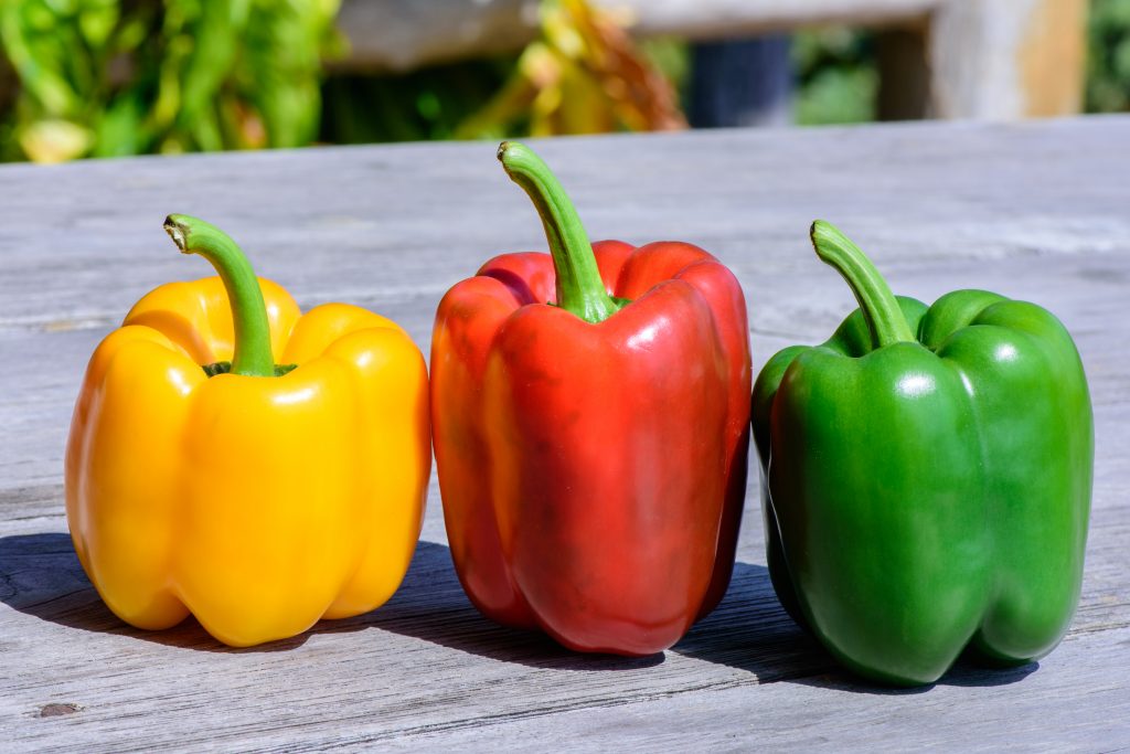 달콤한 고추의 종류