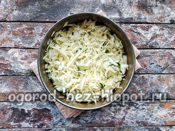 양배추를 틀에 넣다