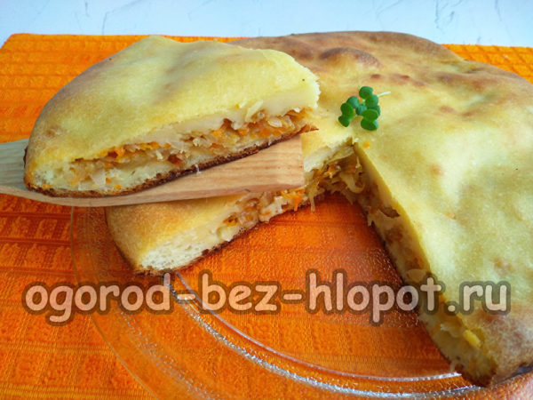 케피어를 곁들인 레이지 양배추 파이