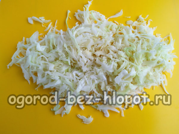 양배추를 잘게 썬다