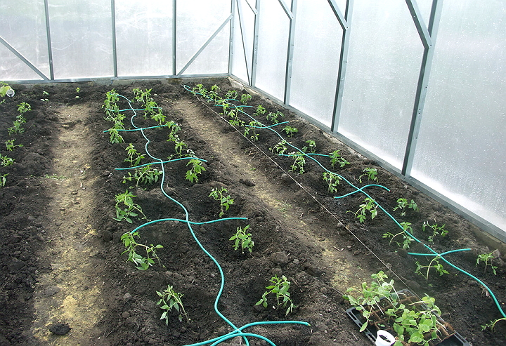 온실용 관개 시스템