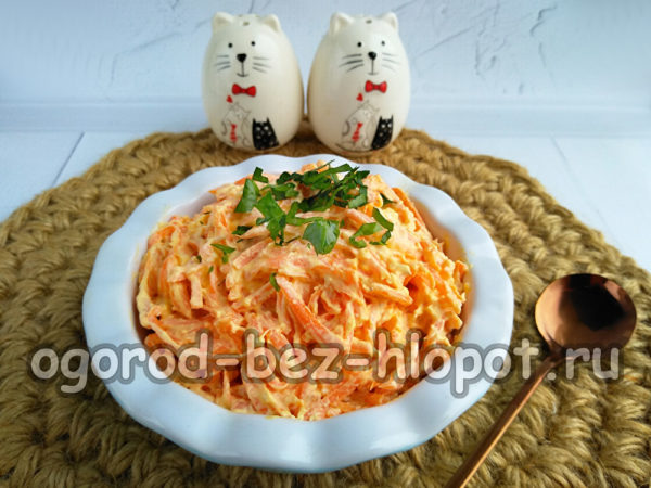 리지크 샐러드가 준비되었습니다