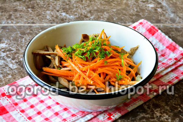 샐러드 재료를 접시에 담습니다