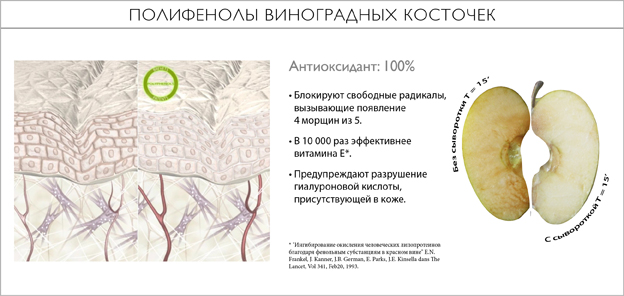 포도씨 폴리페놀