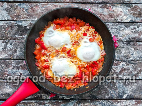 샤크슈카가 준비되었습니다