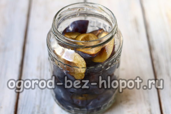 자두를 병에 담다