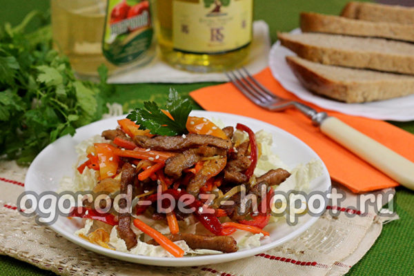 소고기와 야채를 넣은 따뜻한 샐러드가 준비되었습니다